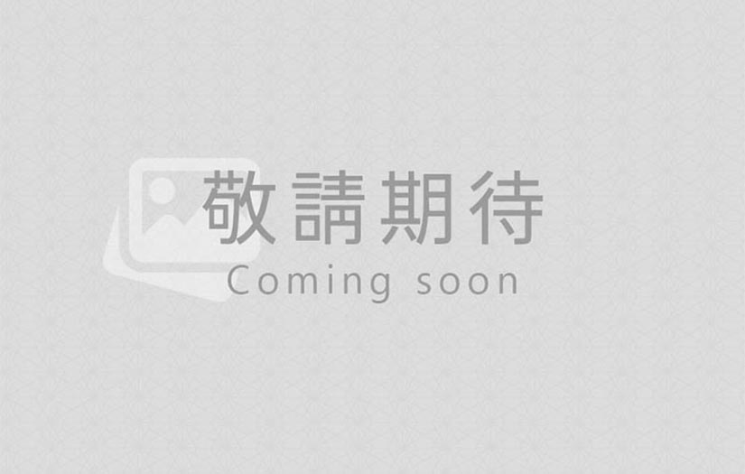 快速杜拜簽證72小時下證