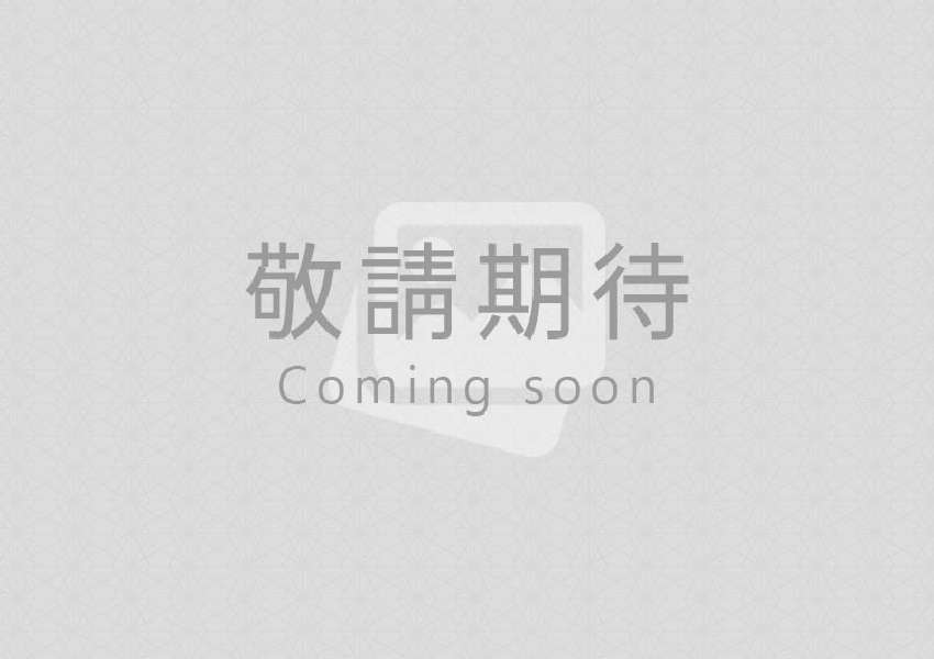 快速杜拜簽證72小時下證