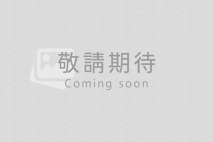 快速杜拜簽證72小時下證